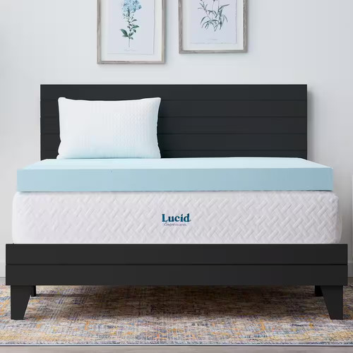 Lucid comfort collection in - lucid,